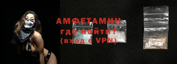 СК Алексин
