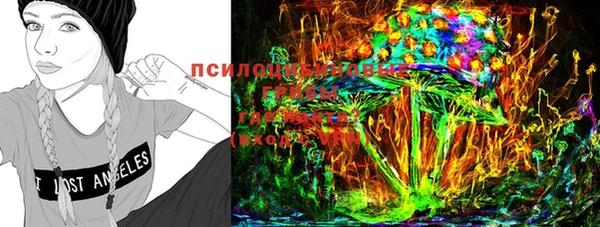 стафф Абаза